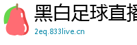 黑白足球直播